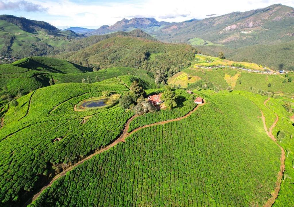 Příroda nedaleko bed and breakfast