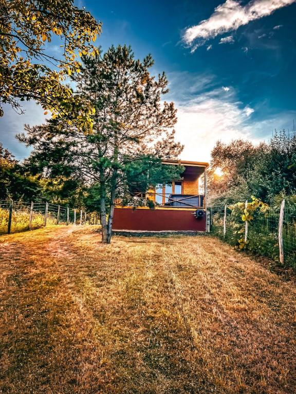 a small house with a tree in the yard at Nature&Chill Treehouses in Sopron