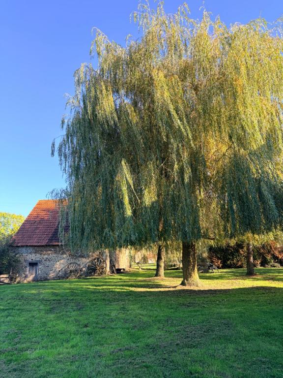 Maison pittoresque et cozy في Bonnat: شجرة كبيرة في حقل بجوار مبنى
