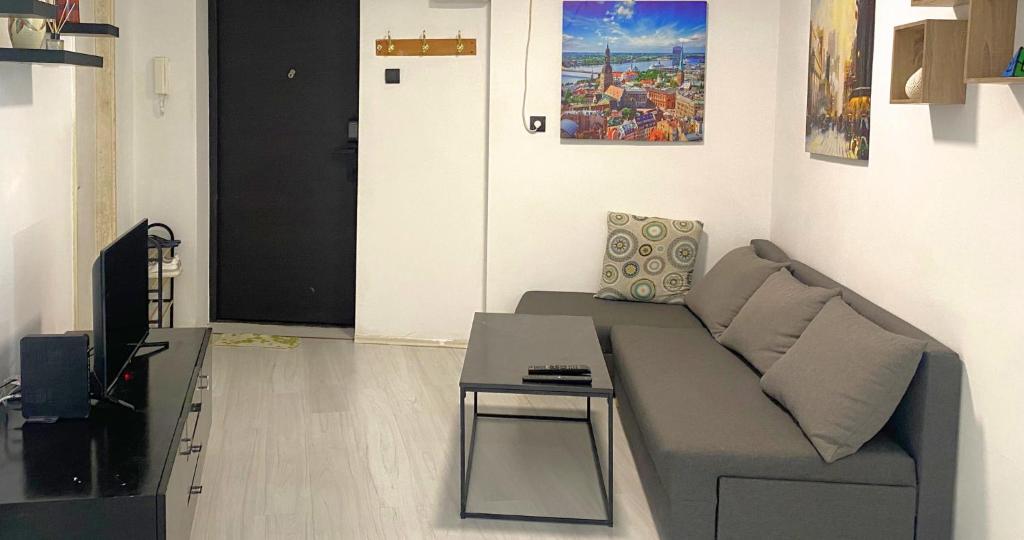 ベオグラードにあるBGD Downtown Hostelのソファとテーブルのあるリビングルーム