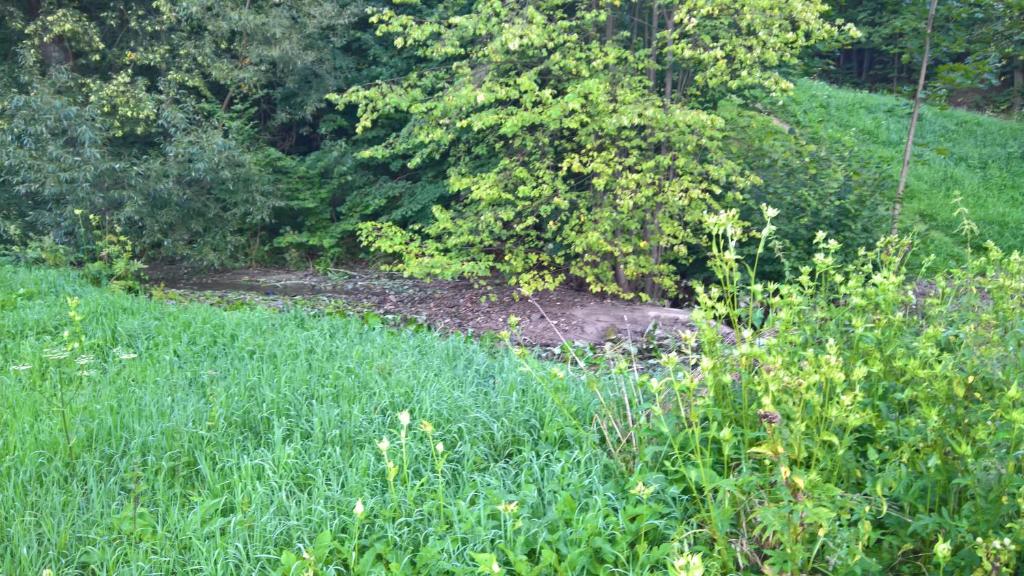 RozwadzaにあるGenius iiの背景草原