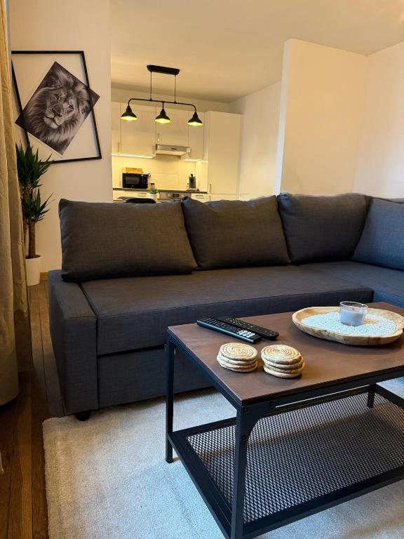 a living room with a couch and a coffee table at Charmant logement au cœur de la nature ardennaise in Habay-la-Neuve