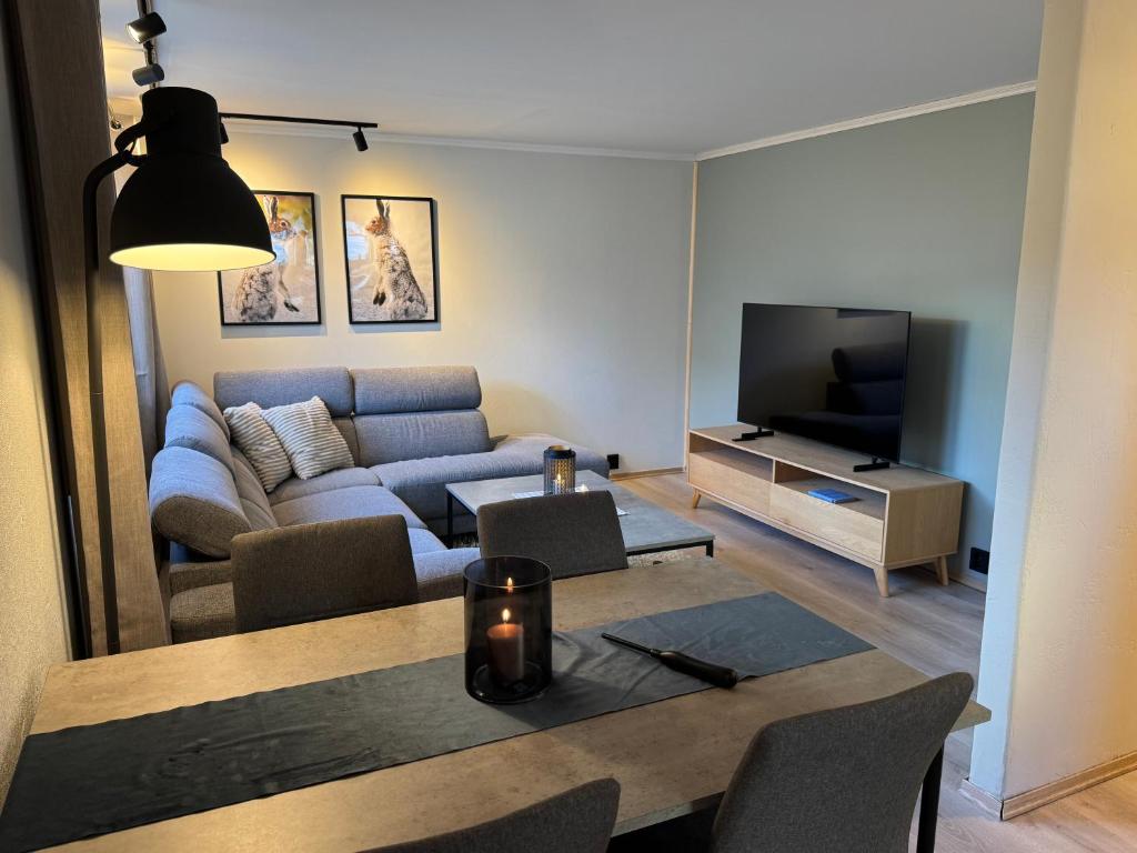 a living room with a couch and a tv at Cozy and centrally located apartment in Tromsø