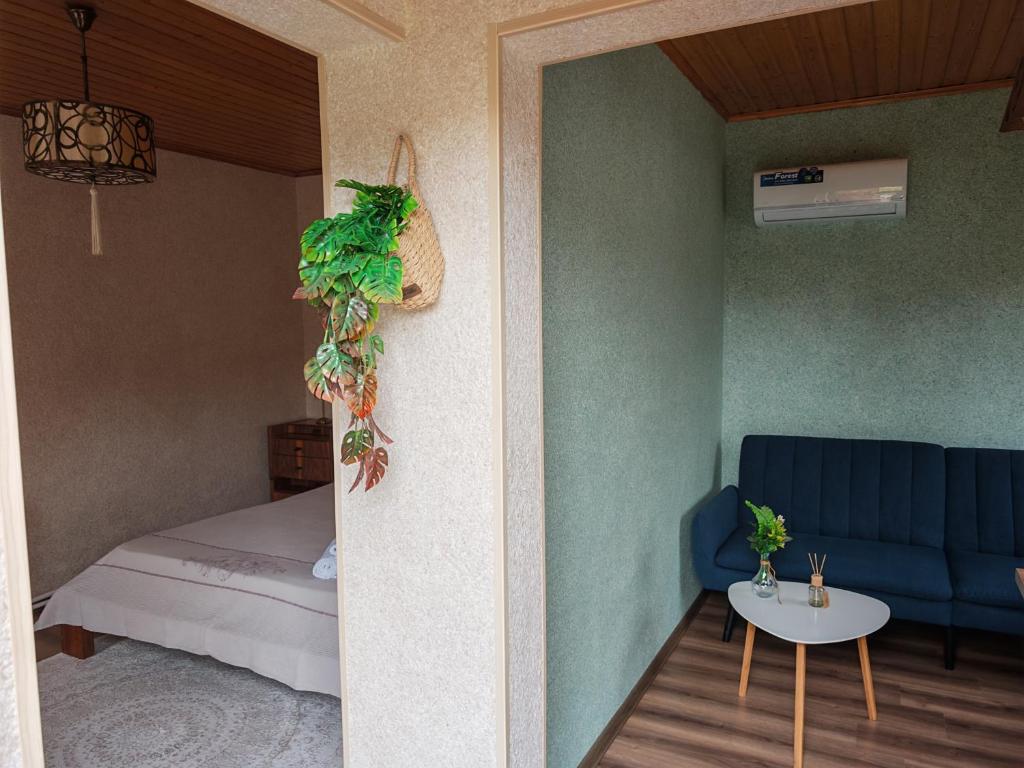 a room with a bed and a blue couch and a table at Zeyvə Farm House 