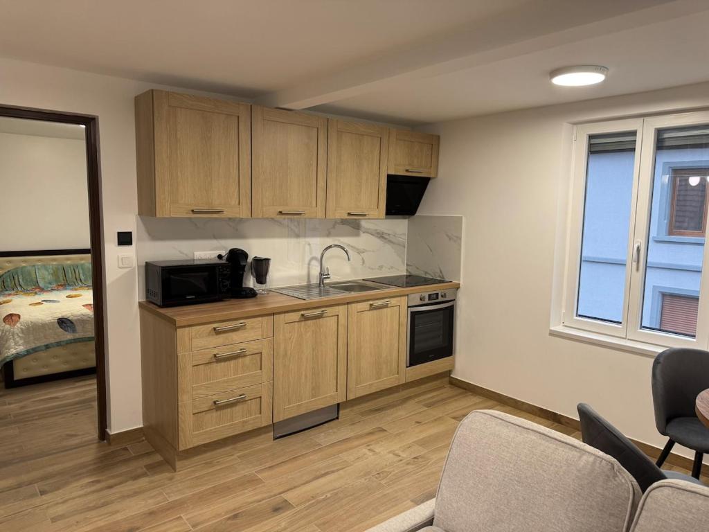 Una cocina con gabinetes de madera y un fregadero. en La Tranquillité Citadine, en Schiltigheim