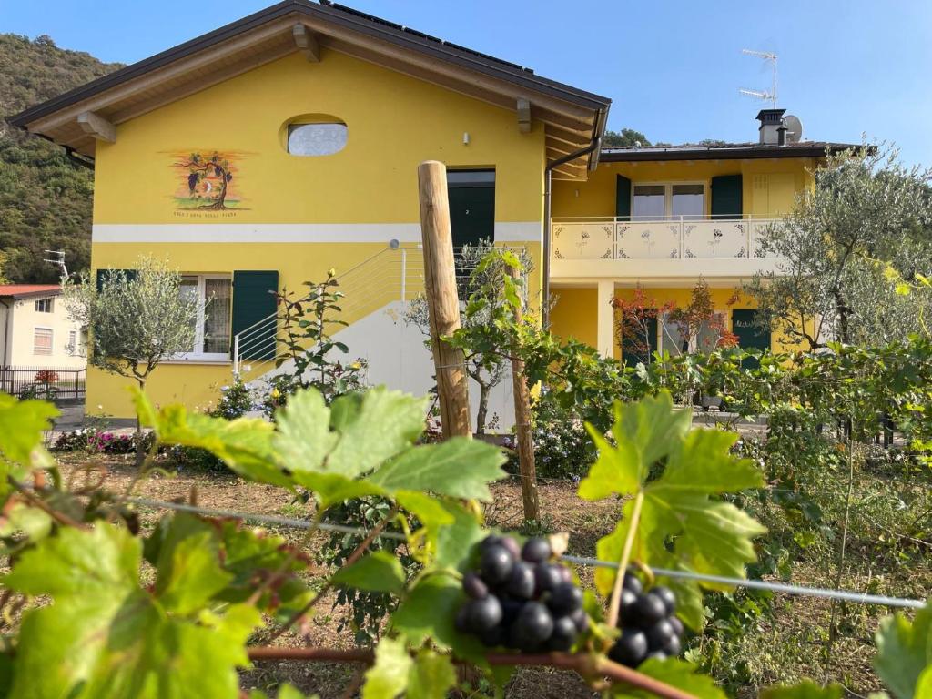 a yellow house with grapes in front of it at Sole e Luna nella Vigna in Villanuova sul clisi