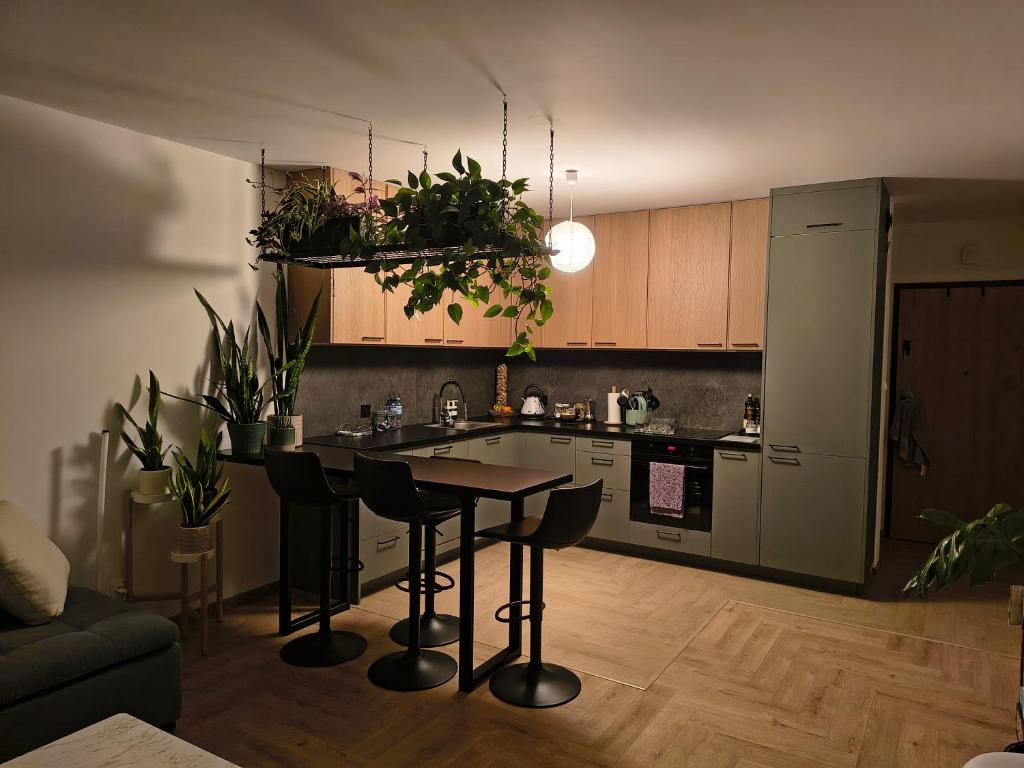 ワンツトにあるApartament Rutkiewiczの台所(テーブル付)