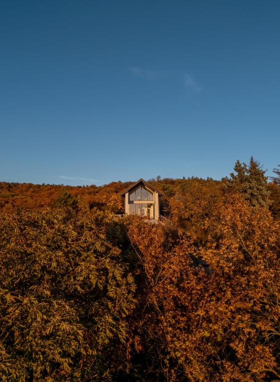 a house on top of a hill with trees at SUQO vendégház in Sukoró