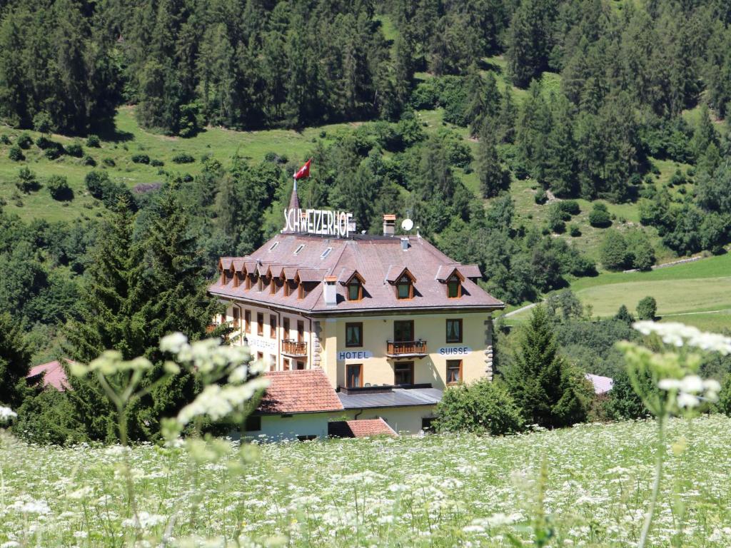 Příroda nedaleko hotelu