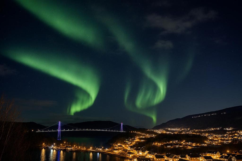 Ankenes Romutleie AS, Narvik (updated prices 2026)