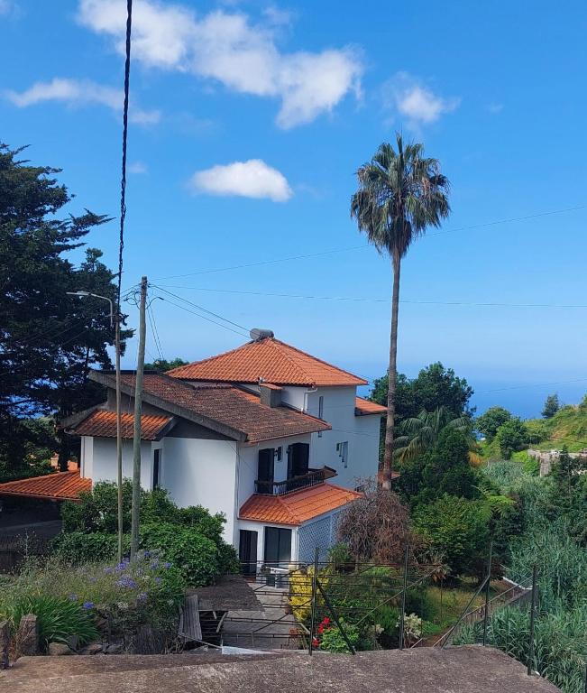 a house with a palm tree in front of it at Casa Žerotín in Funchal