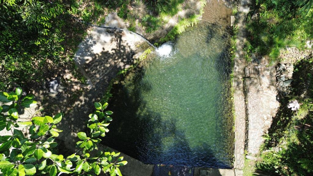 a concrete wall with a pool of green water at Cascadia in Cocorná
