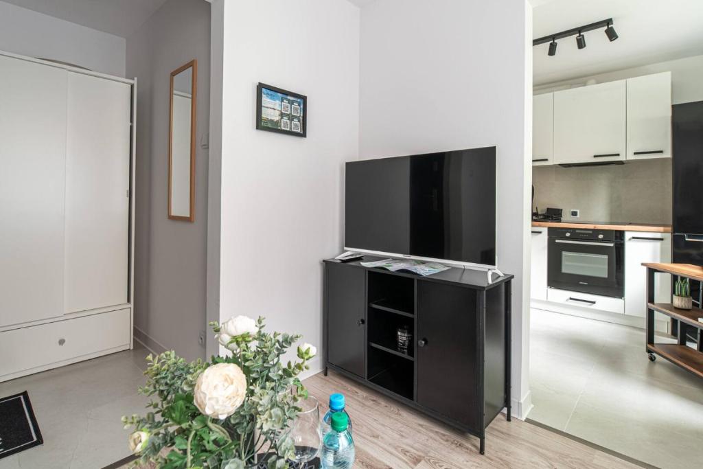 a living room with a large flat screen tv at Apartly - City Home &B in Szczecin