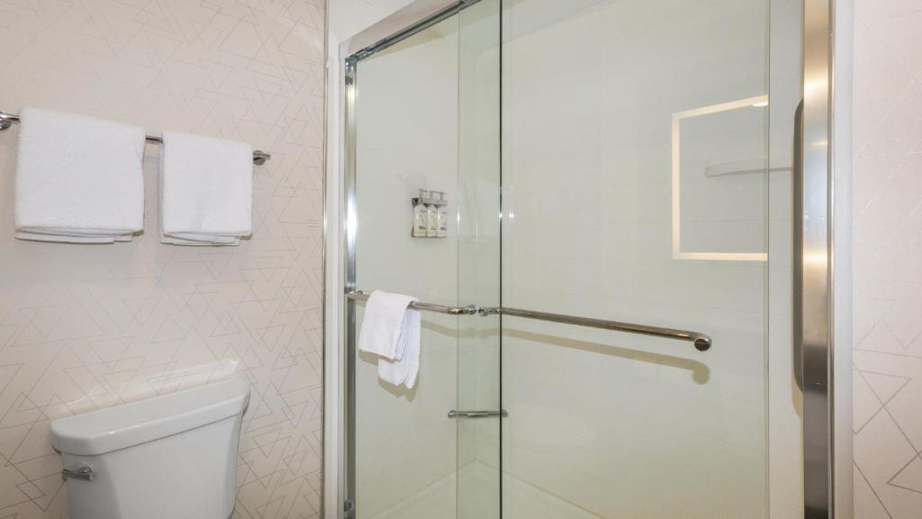 Holiday Inn Express Hotel & Suites Hampton South-Seabrook by IHG - Mini Suite King - Non Fumatori
