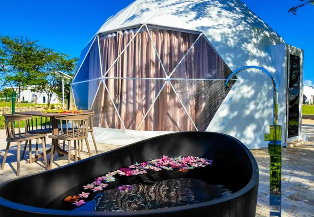 een grote kuip met bloemen erin voor een koepel bij Bubble Glamping King bed, we have a 8 units like this in Laguna del Higüero