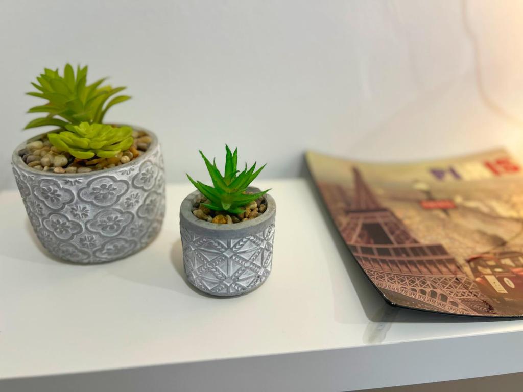 two potted plants sitting on a shelf next to a book at Loma Blanca by Residea in Manilva