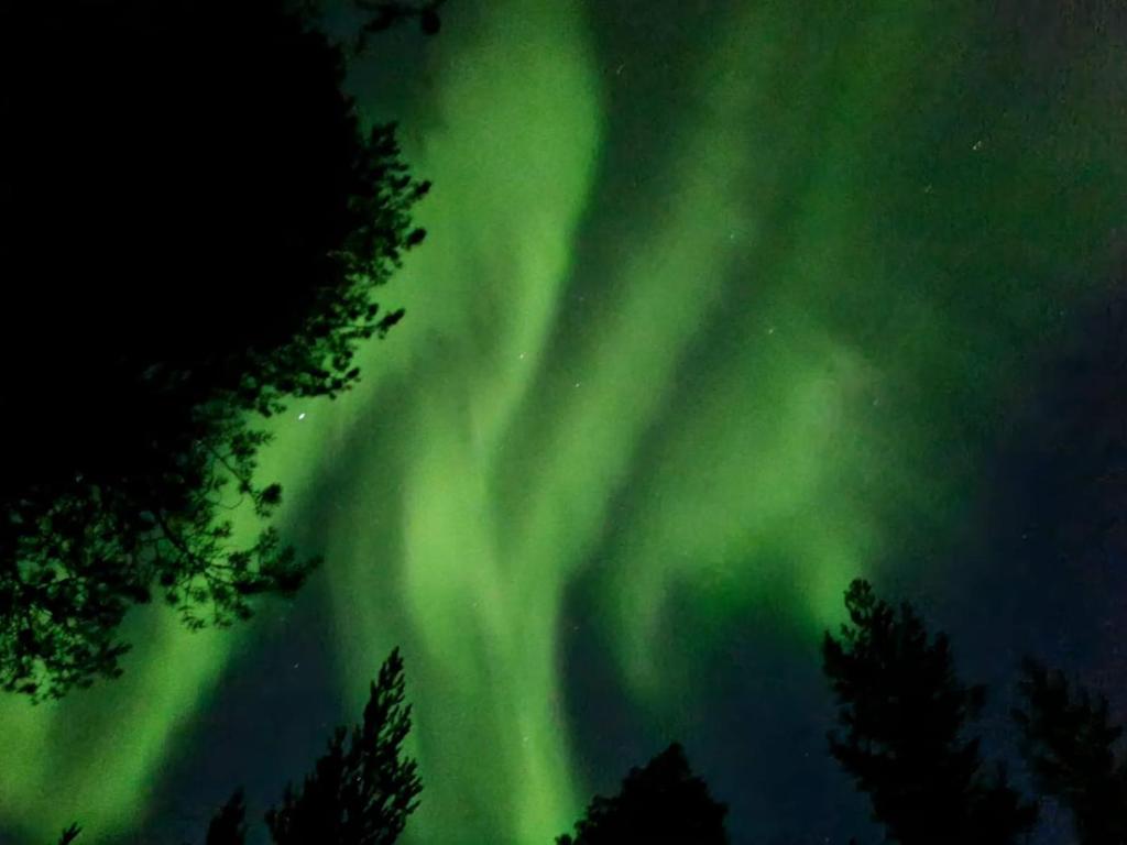 an image of the northern lights in the sky at Cozy two-room apartment in the center of Rovaniemi in Rovaniemi