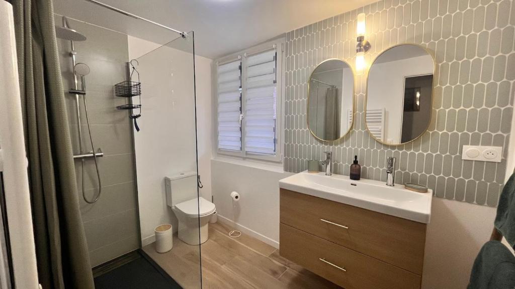 a bathroom with a sink and a toilet and mirror at Le Printemps 