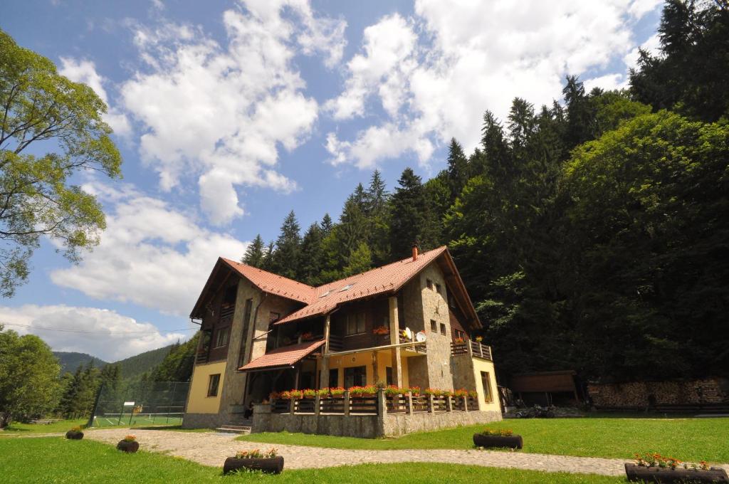 a large house in the middle of a field at Pensiunea Denisa in Lunca Bradului