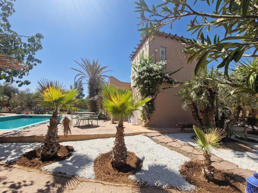 einen Innenhof mit Palmen und einem Pool in der Unterkunft Manzal Lahbab, 2Villas 2Bungalows 2Piscines et Jardins in Marrakesch