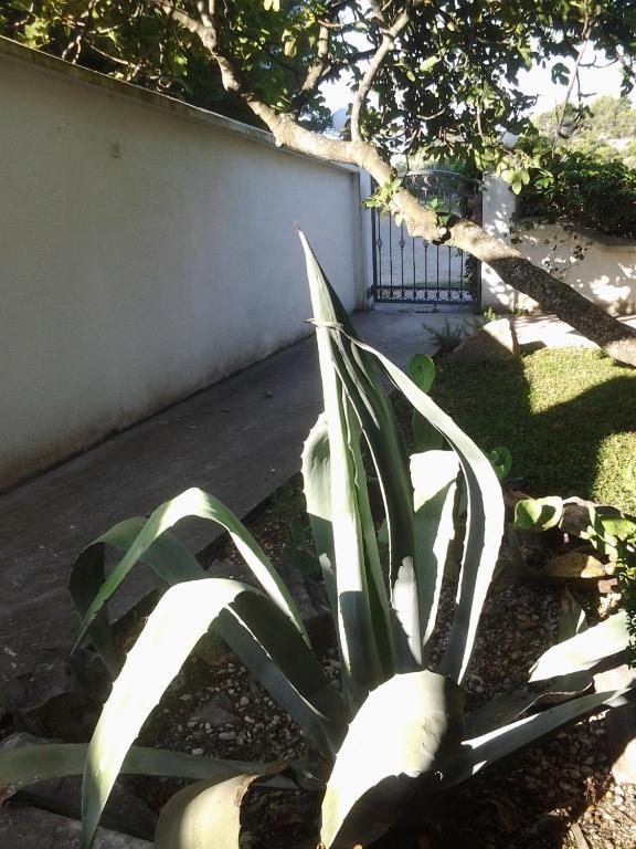 Vonkajšia záhrada v ubytovaní Apartment Biokovo