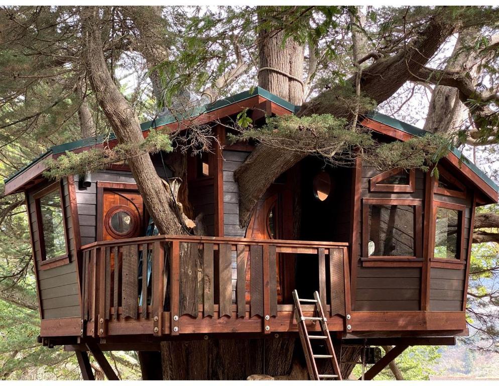 una casa en el árbol en un árbol en Half Moon Bay Glamping Getaway in an Idyllic Tree House and Cabin, en Half Moon Bay