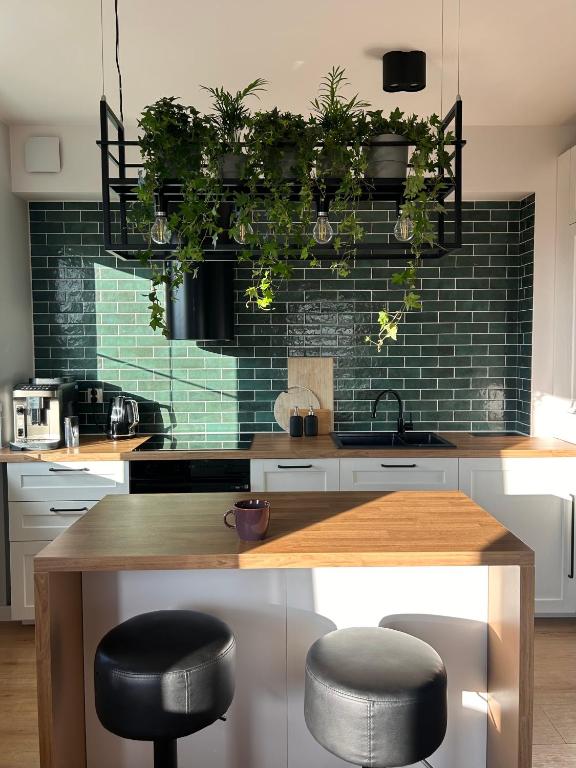 a kitchen with black stools and a counter with plants at Colorado in Gdańsk