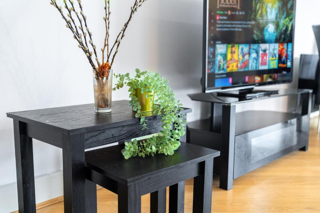 ein schwarzer Tisch mit einer Vase und Pflanzen darauf in der Unterkunft 1 Bed Apartment - Street Parking - WiFi 49BG in Sleightholme