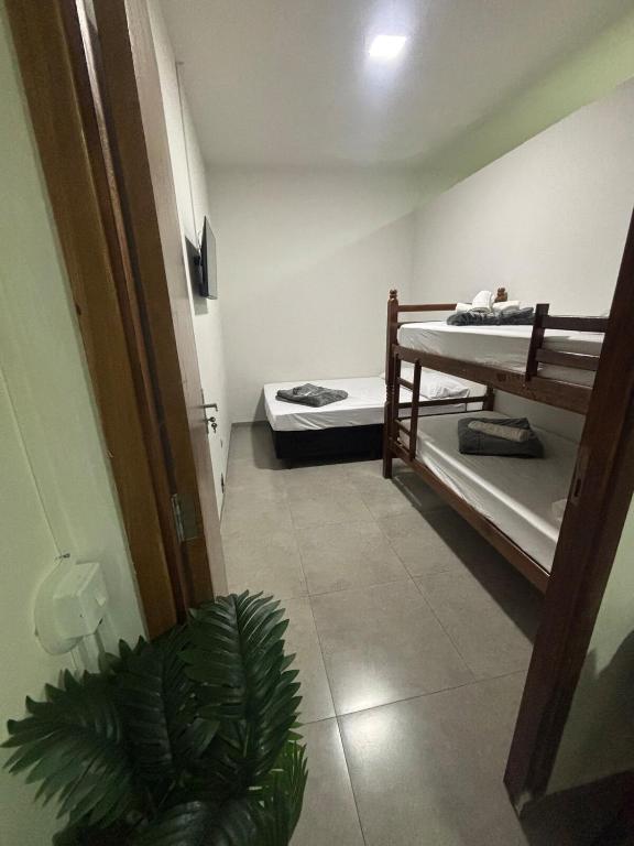 een kamer met 2 stapelbedden en een plant bij Apartamento no Centro de Bandeirantes Ar, TV Smart, Ar Condicionado e Frigobar in Bandeirantes