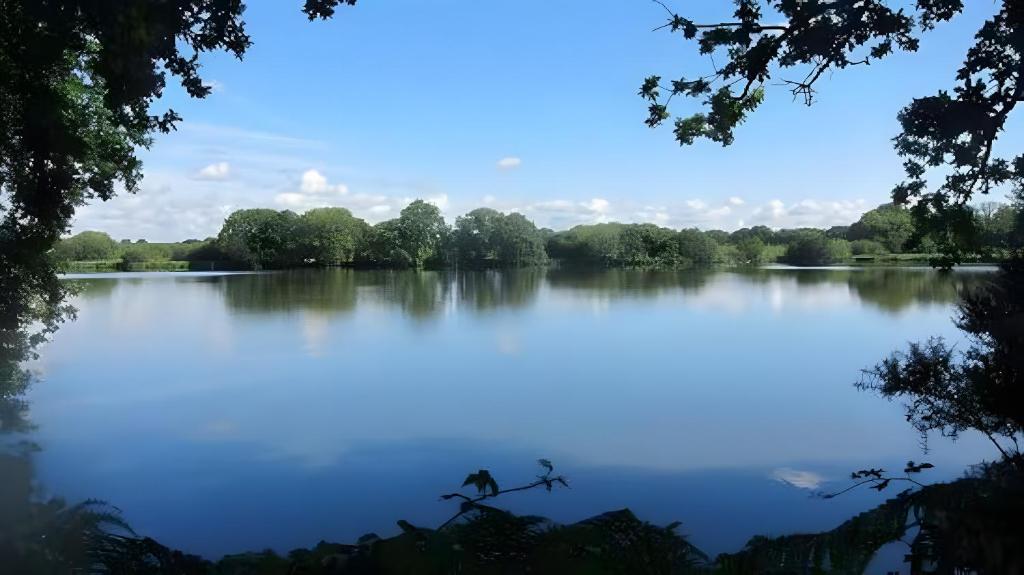 Naturlandskabet i nærheden af lejligheden