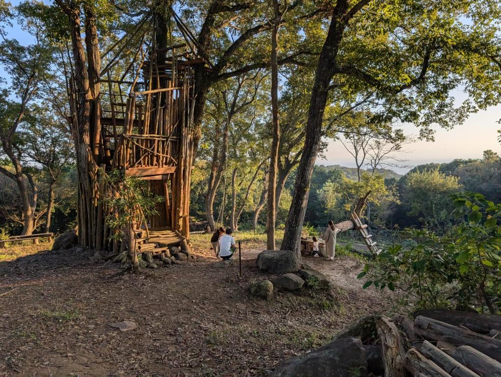 a tree house in the middle of a forest at えころっじKitsuki in Kitsuki