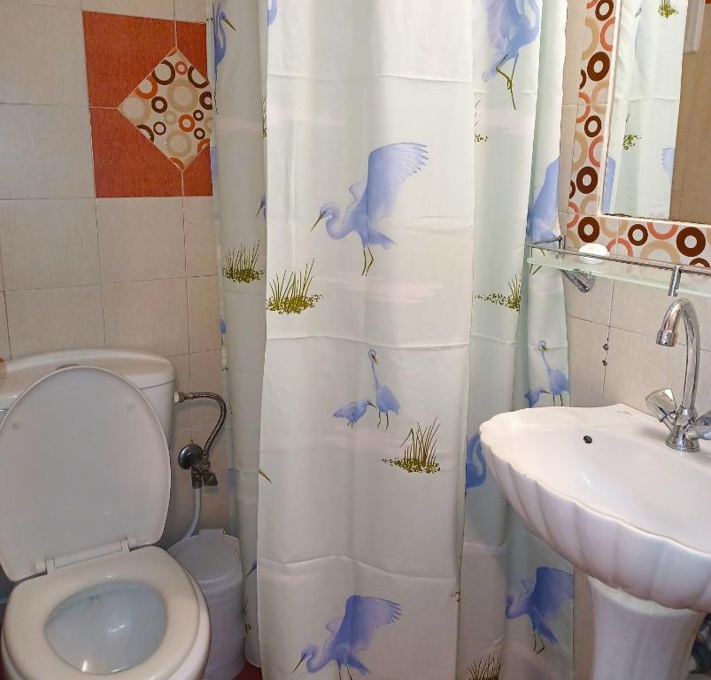 Evelina Beach Pension means vacation beside the sea, Who wants to swim in a box of chemicals, Swimming in the sea,There is nothing like a morning walk on a beach Beachlife definitely has a different vibe - 14