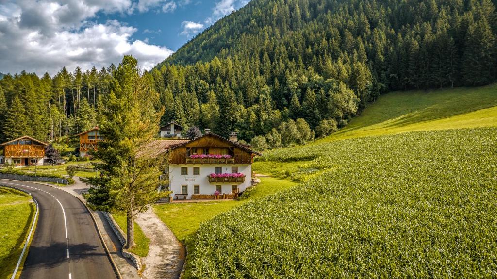a house on the side of a road in the mountains at Wieserhof Vals in Valles