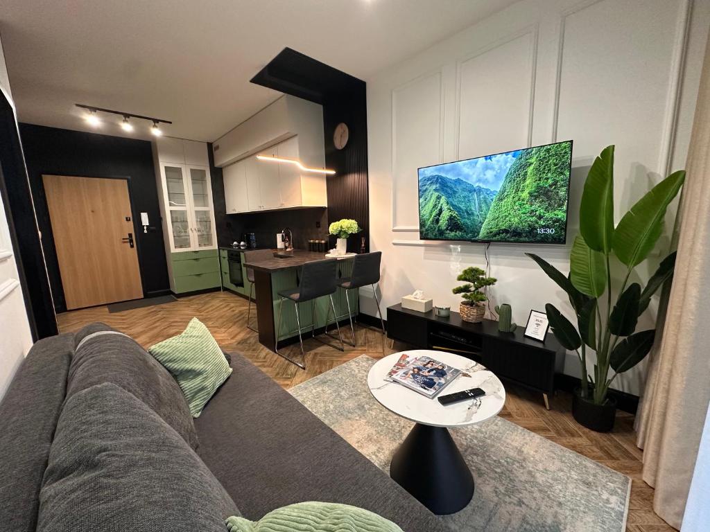 TV a/nebo společenská místnost v ubytování Apartament Z Ogrodem - Paderewskiego 22