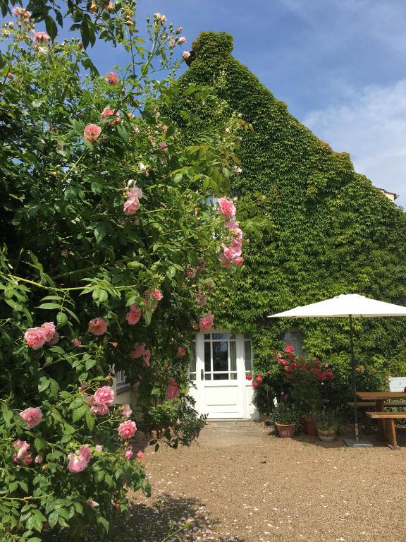 a house with a white door and pink roses at Landhaus am Deich in Cluvenhagen