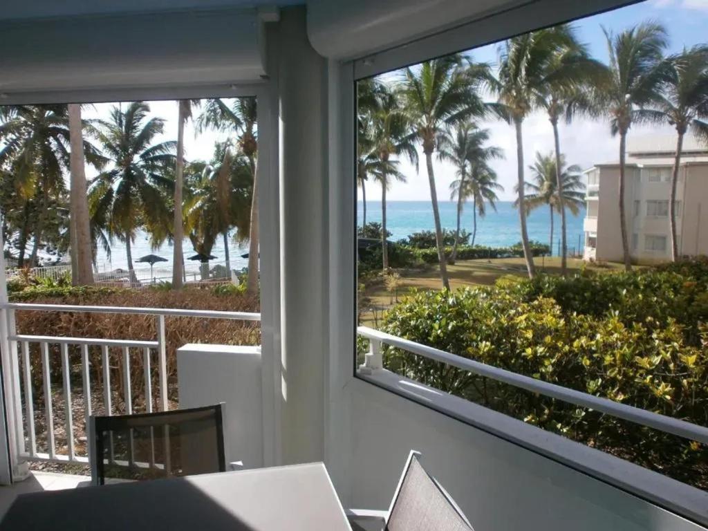 ル・ゴジエにあるStudio accueillant avec vue mer à Le Gosierの海とヤシの木の景色を望むバルコニー