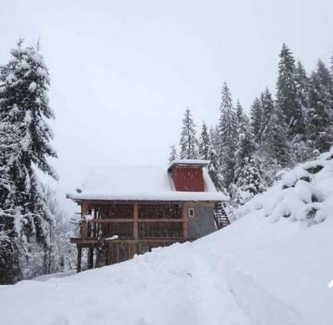 Cabaña de madera cubierta de nieve con techo cubierto de nieve en Домик в горах, en Bukovets
