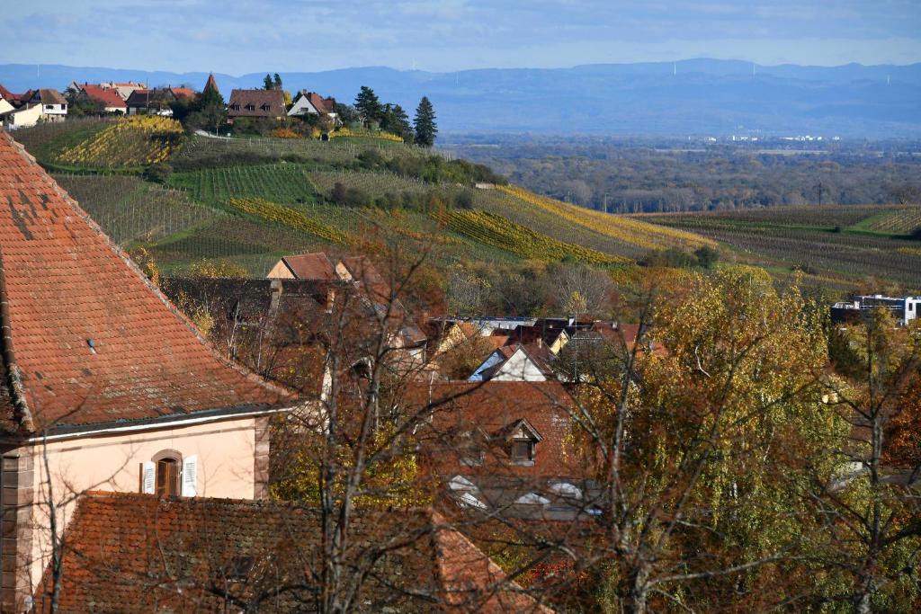 Les Balcons De Riquewihr – photo 43