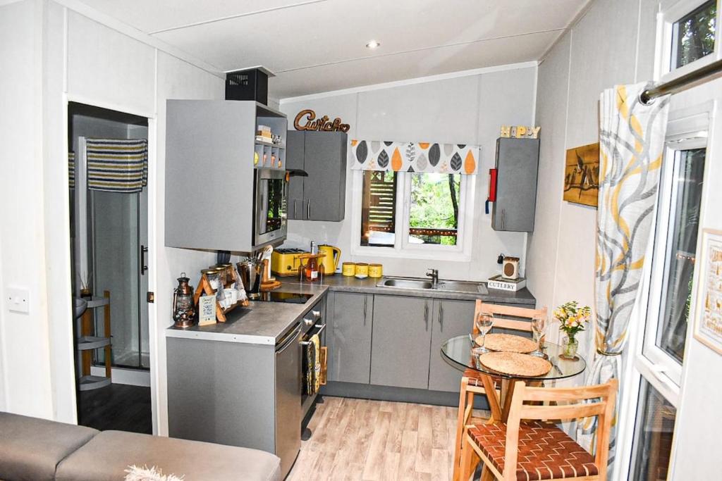 eine Küche mit Spüle und Arbeitsplatte in der Unterkunft Ty Cwtch Cabin - secluded woodland cabin & covered hot tub in Moffat