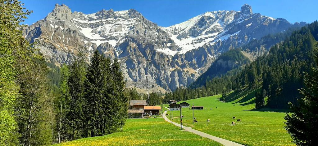 Un campo verde con montañas al fondo en Bunderbach, en Adelboden
