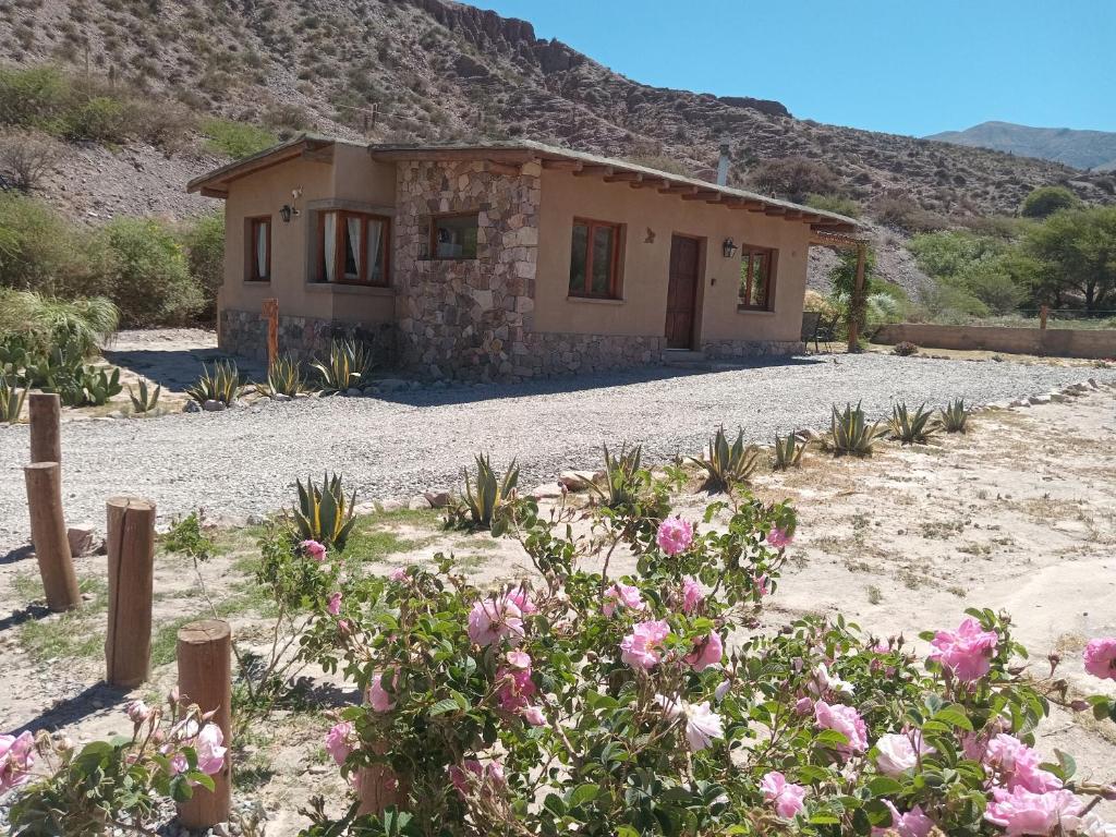 Una casa en el desierto con flores delante de ella. en Cabañas La Nochera, en Tilcara
