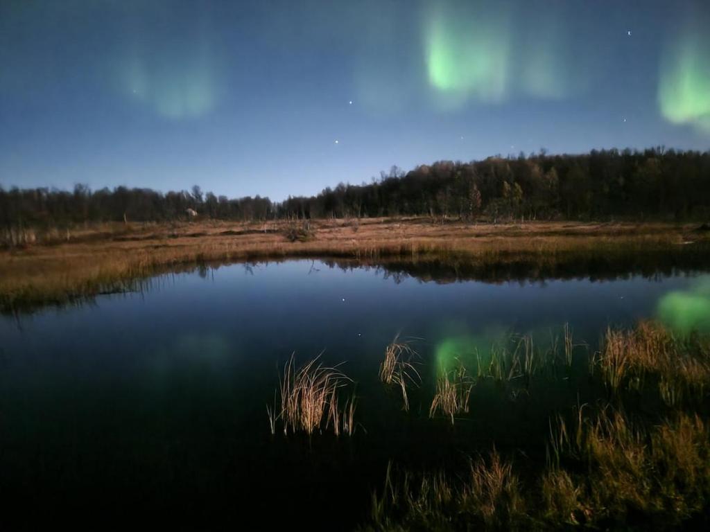 a small lake with green reflections in the water at Aurora view apartment III - close to everything in Tromsø