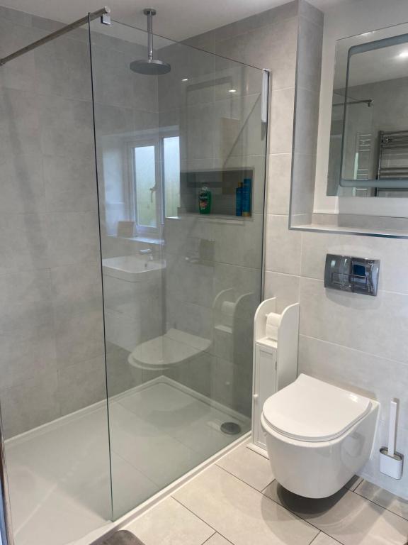 a bathroom with a shower and a toilet at Lincoln Cathedral Retreat in Scampton