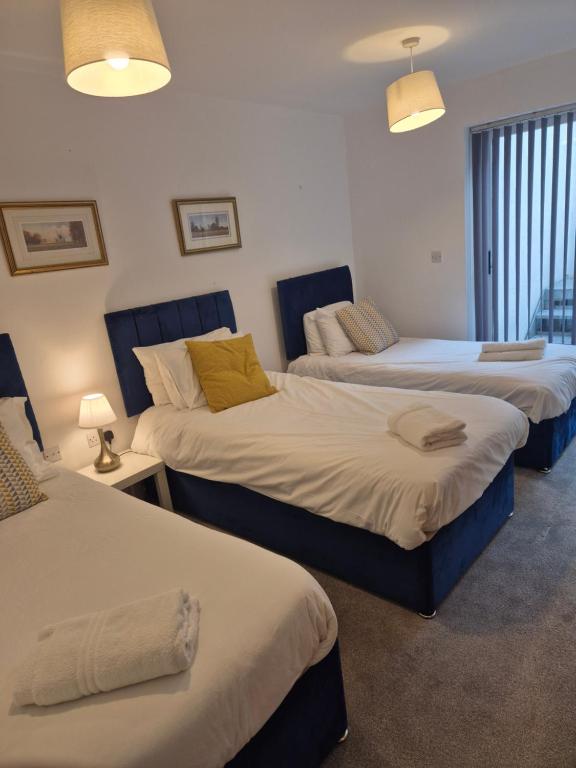 - une chambre avec 2 lits et une table de nuit avec une lampe dans l'établissement Eco House Brighton & Hove, à Brighton et Hove