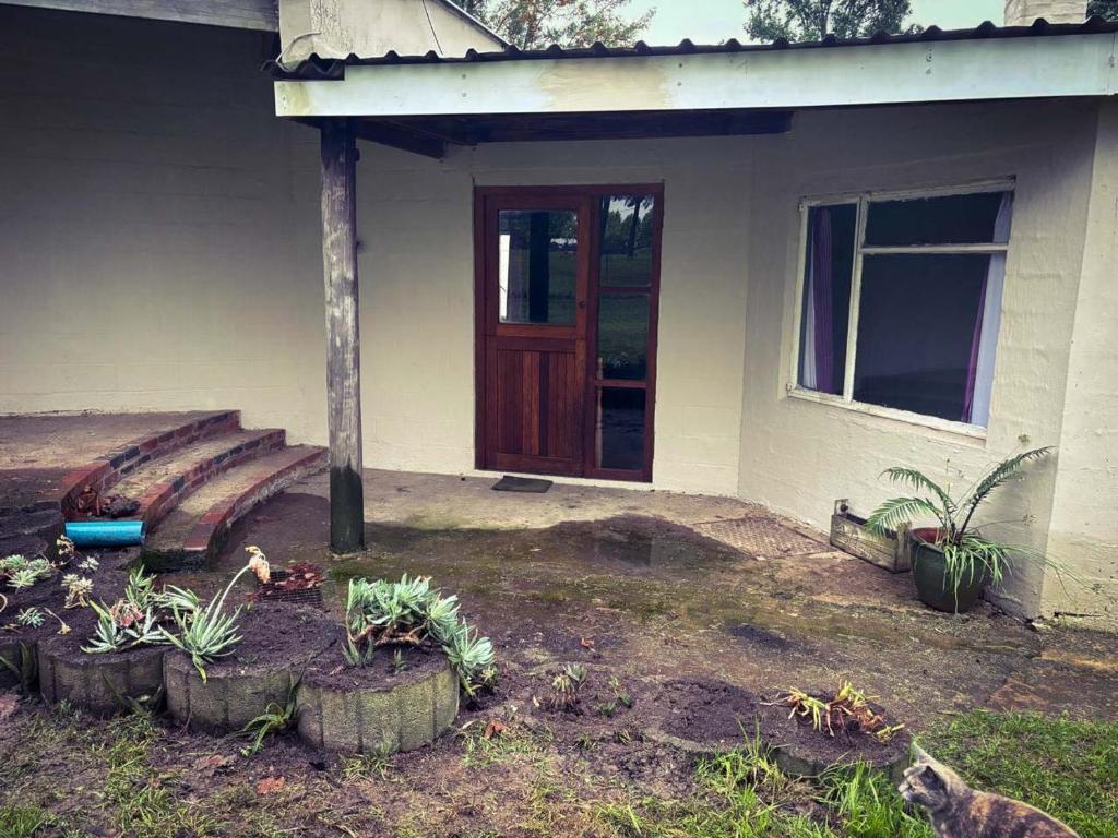 a house with a cat standing in front of a yard at Field's End in Howick