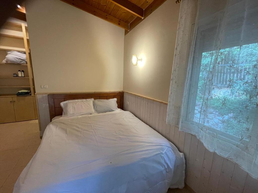 een bed in een kamer met een raam bij The olive tree in Harduf