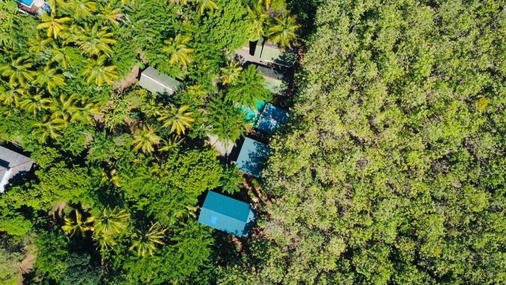 Green View Safari Resort - 6