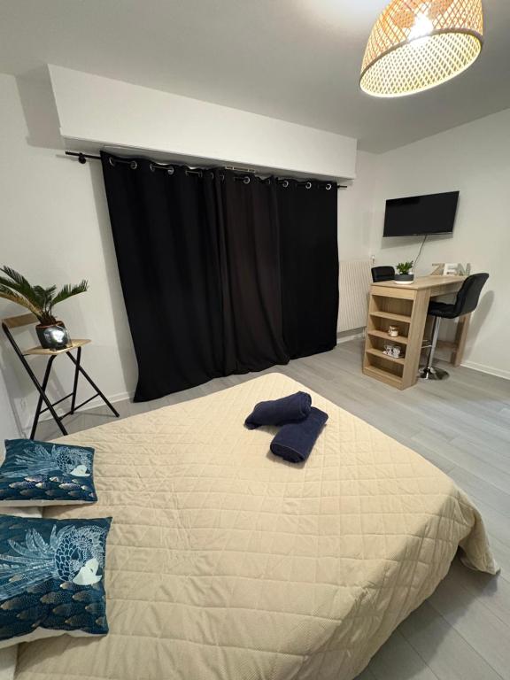 Studio 2 personnes à Colmar parking gratuit a 10 minutes à pieds de la petite Venise - gare a 10 minutes - station de bus à 2 minutes – Foto 4