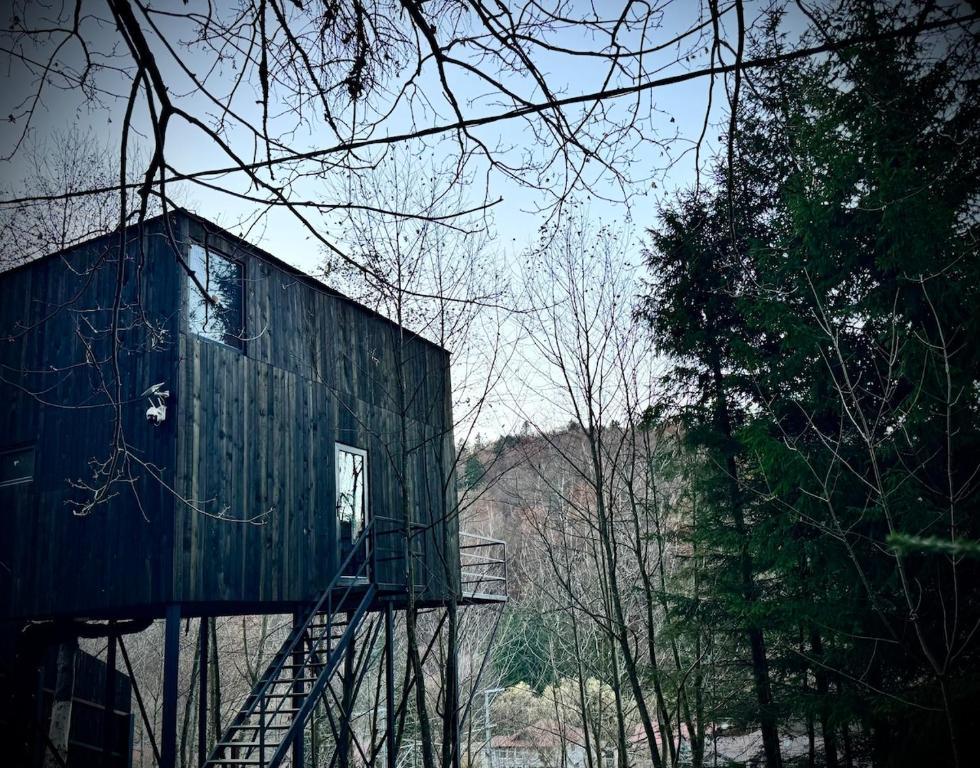 a blue building with a staircase on the side of it at M Cabin Tree house Predeal Ciubar in Predeal