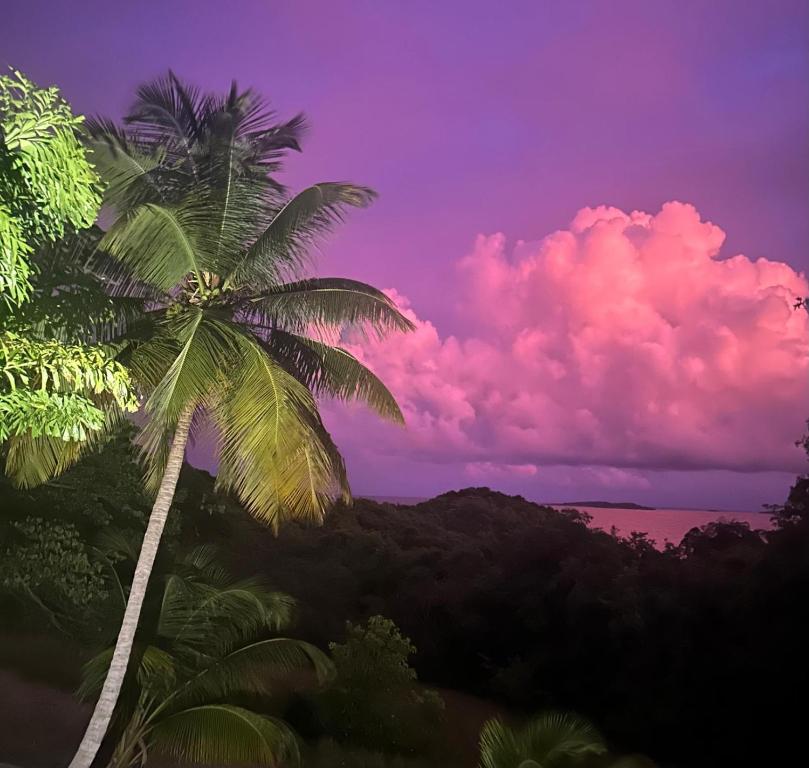 een palmboom voor een paarse lucht bij Villa Goyave in Le Robert